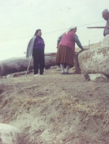 MÃ¼ze kuruluÅŸ yÄ±llarÄ±